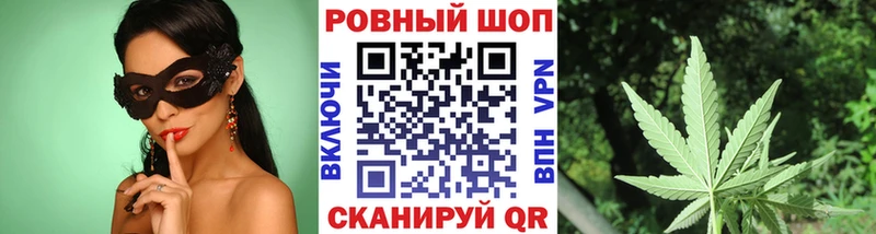 Продажа наркотиков Шуя MDMA  Cocaine  АМФ  Кодеин  Конопля  Мефедрон 