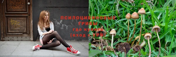 каннабис Алексин