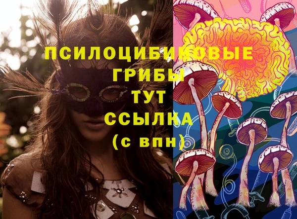 каннабис Алексин