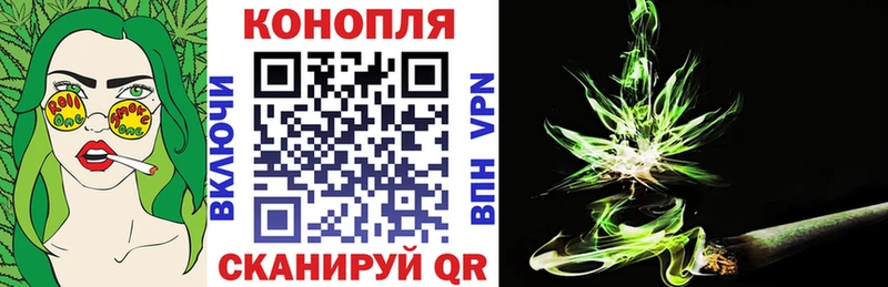 omg ССЫЛКА  Шуя  Бошки марихуана VHQ 